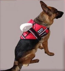 Service Dog Vest