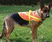Reflective safety service dog vest