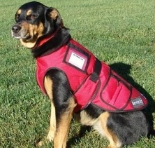 Cold Weather Service Dog Coat Vest