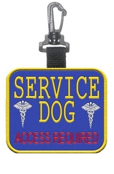 Double Sided Patch Clip-ons