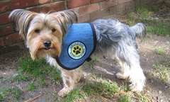 Denim Servie Dog Vest