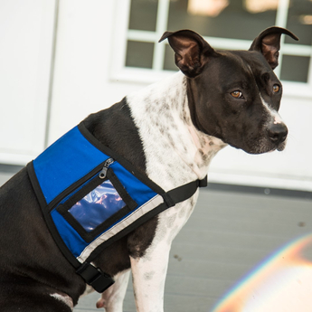 Dual Pocket Service Dog Vest