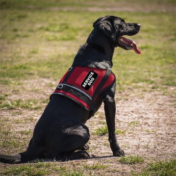 Mesh Service Dog Vests